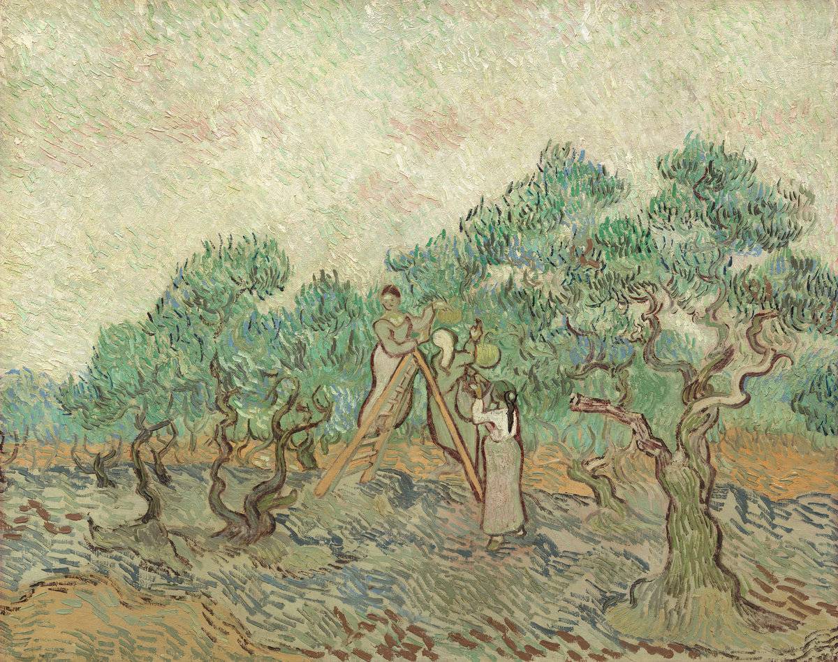 van Gogh: The Olive Orchard 1889